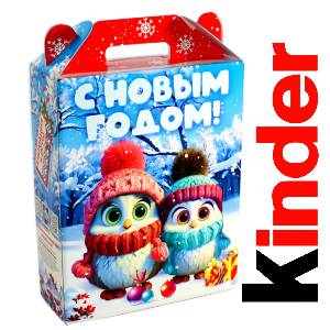 Детский подарок на Новый Год в жестяной упаковке весом 830 грамм по цене 3297 руб в Бийске